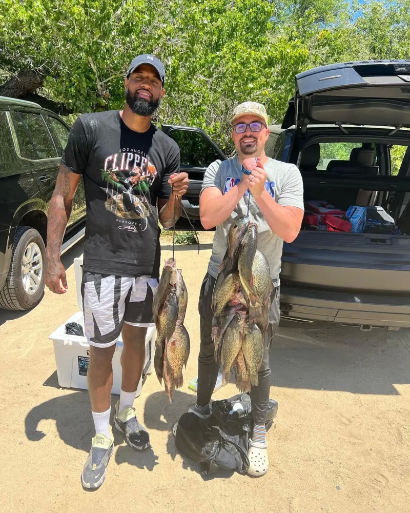 球迷表达了 球迷表达了