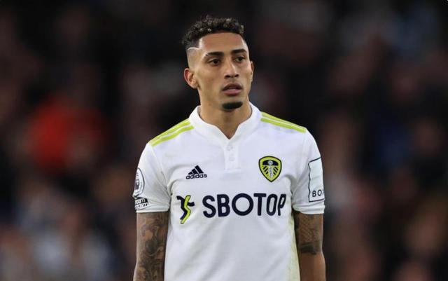 尽管判罚的 尽管判罚的