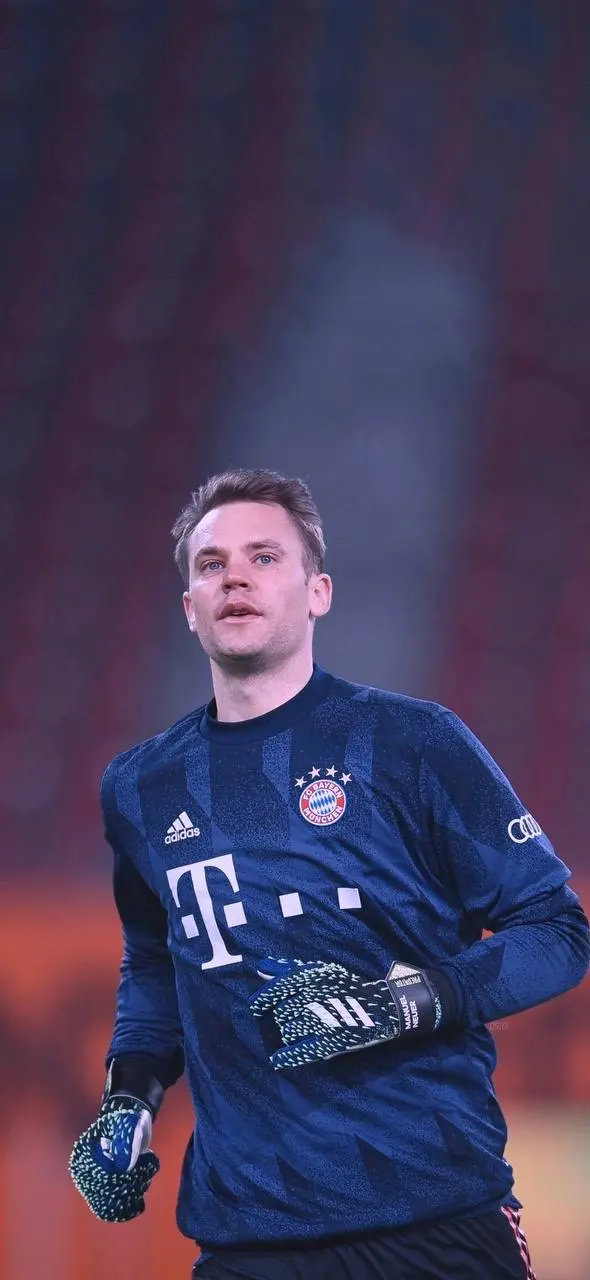 他们凭借坚 他们凭借坚