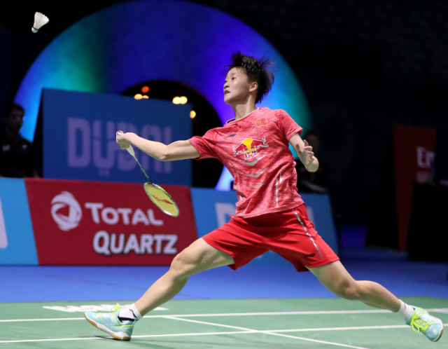 可能包括 可能包括